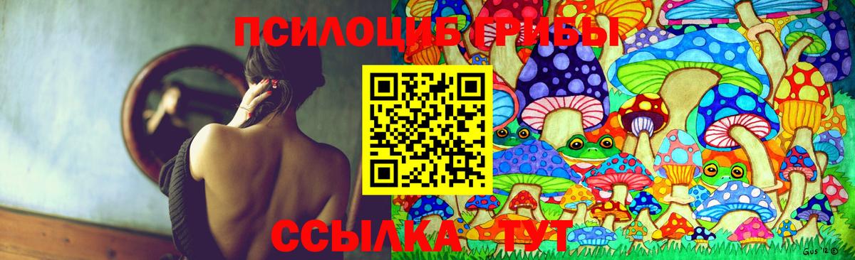 Рославль  Галлюциногенные грибы прущие грибы  Вход с VPN 
